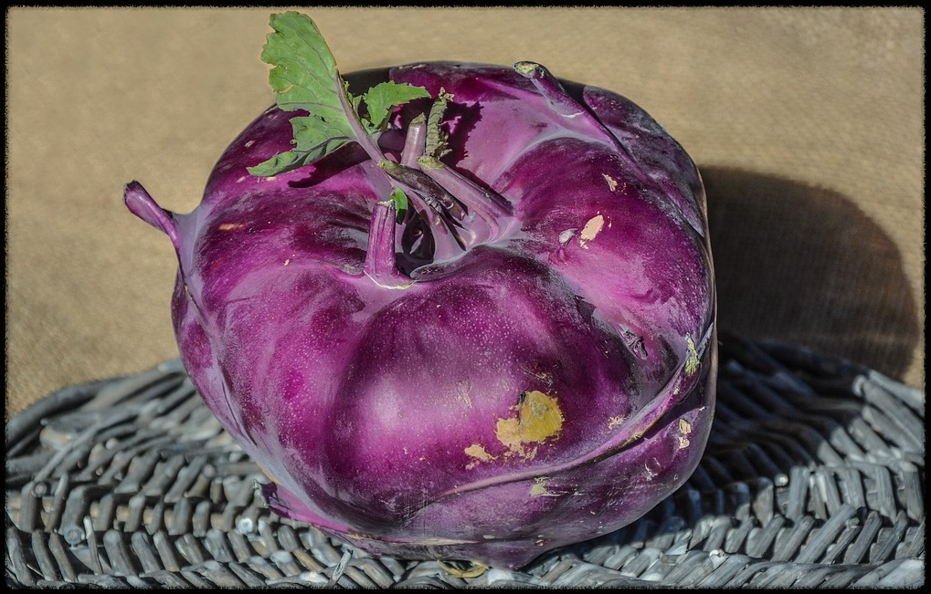 콜라비관련이미지11