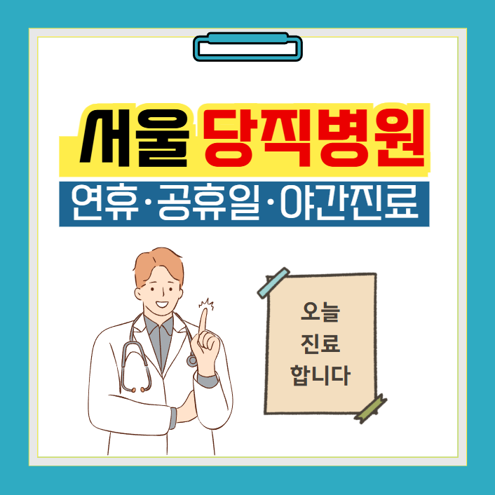 서울 당직병원 찾기