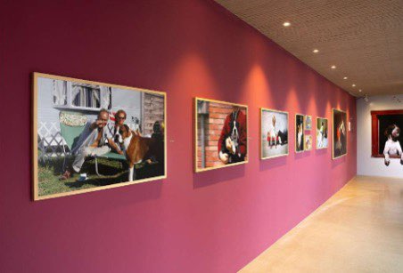 어노니머스 프로젝트 부산 얼리버드 티켓 예매