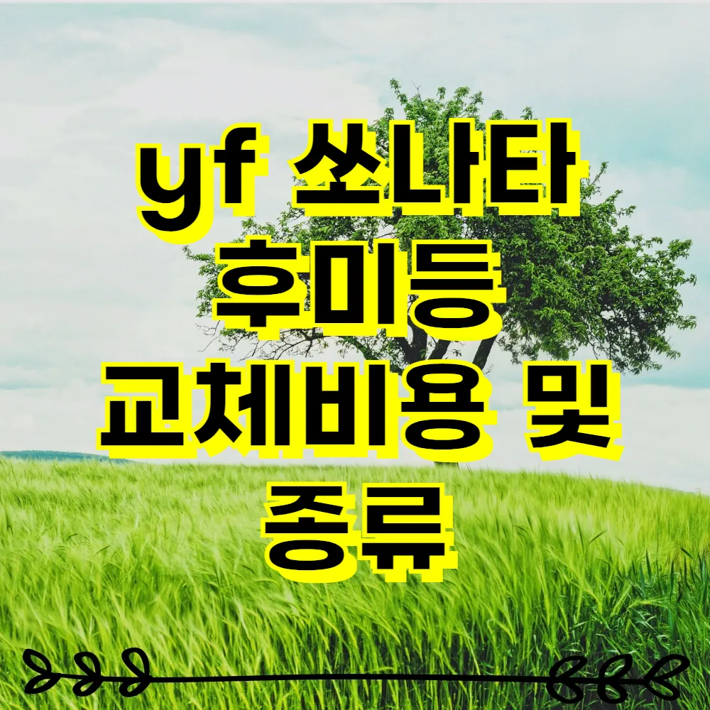 yf 쏘나타 후미등 교체비용 및 종류