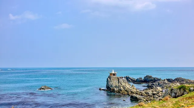 부산 서부시외버스터미널 시간표 예약 예매_8