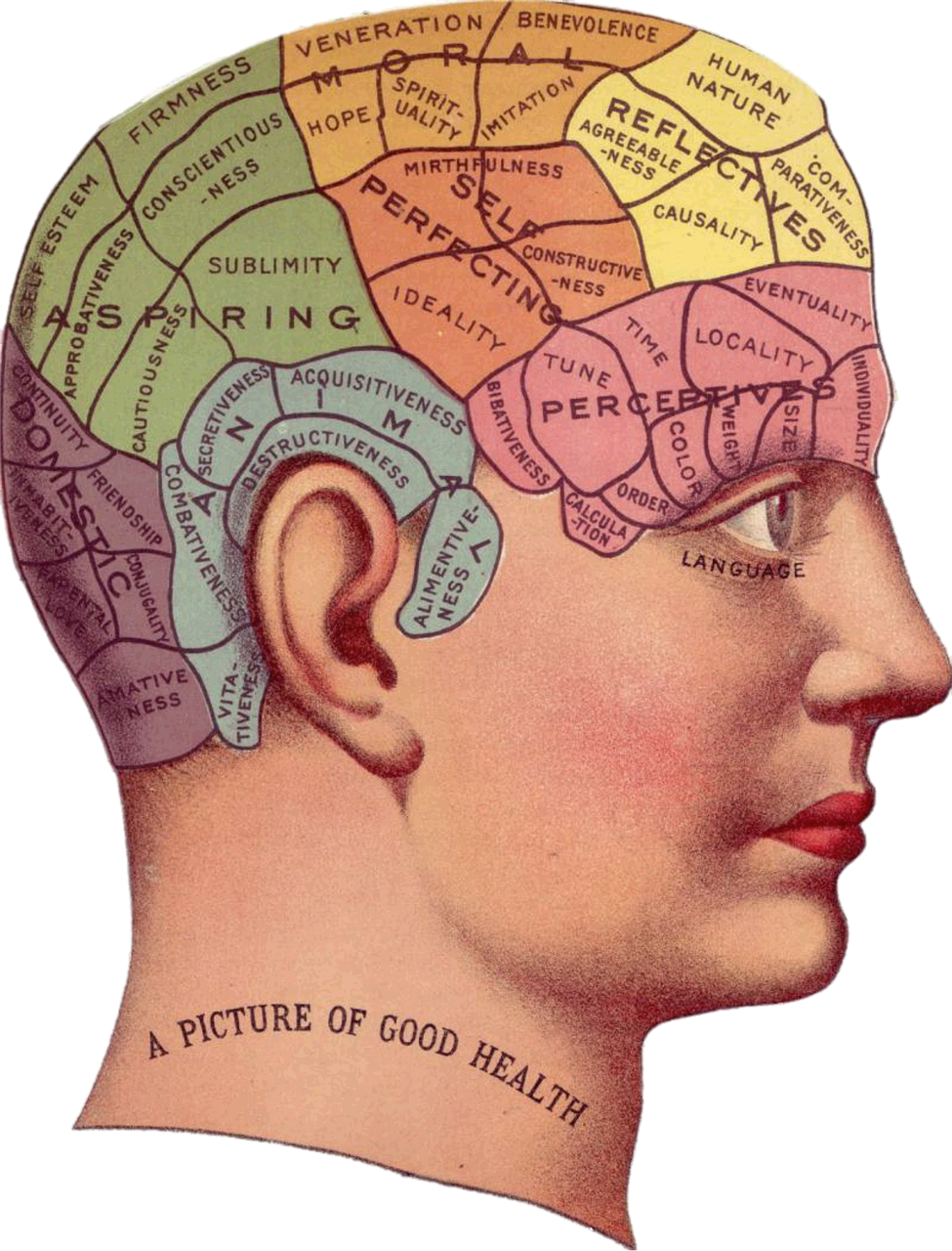 업무 효율을 2배로! 뇌파 조절을 활용한 집중력 강화