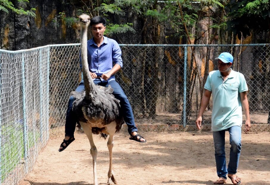 다이남(대남) 동물원(Dai nam zoo)