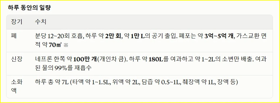 장기가 하루 동안 하는 일의 양