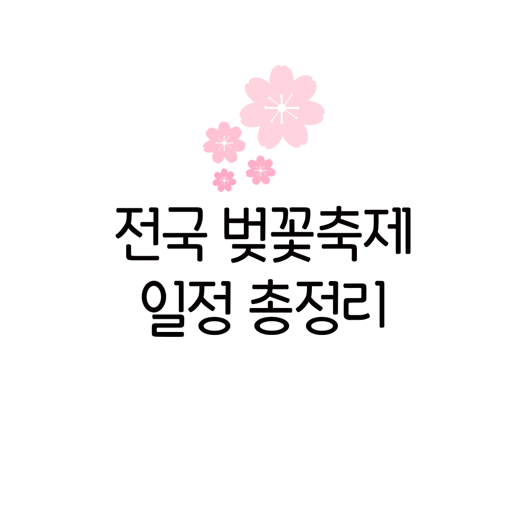 2025 벚꽃축제 기간 개화 현황 시기 명소 추천 일정