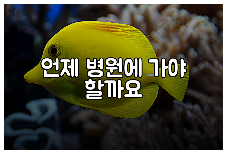 언제 병원에 가야 할까요