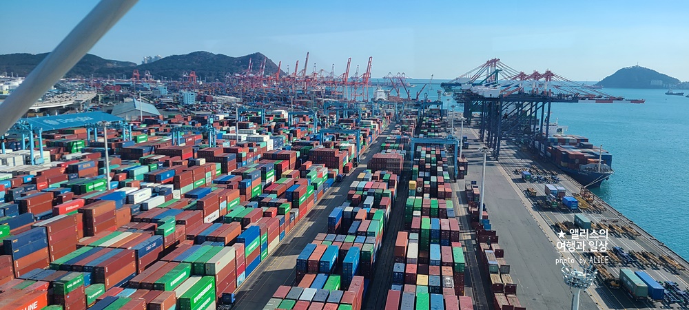 부산시티투어버스 모든 것: 요금, 할인, 코스, 시간표, 출발장소, 추천장소