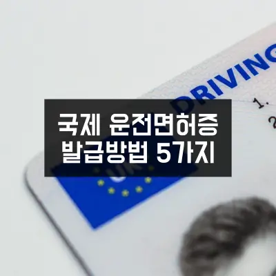 국제-운전면허증-발급방법