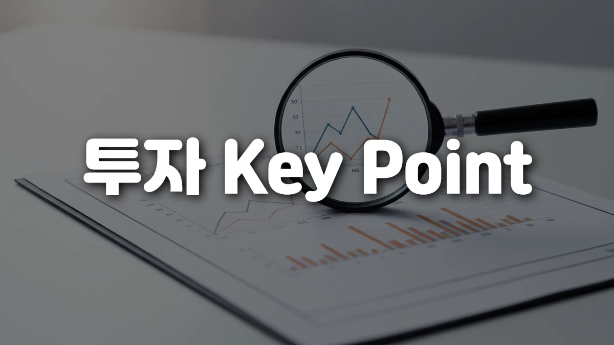 투자 Key Point