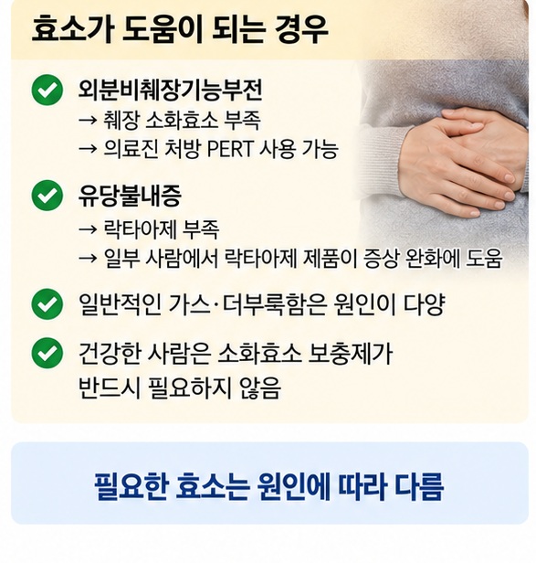 외분비췌장기능부전의 췌장효소대체요법과 유당불내증의 락타아제처럼 효소가 필요한 상황을 설명한 이미지