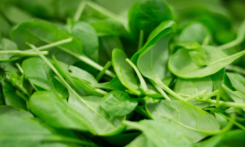 근감소증에 좋은 음식 관련 사진3