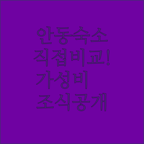 직접 비교한 안동 숙소 추천 및 가성..