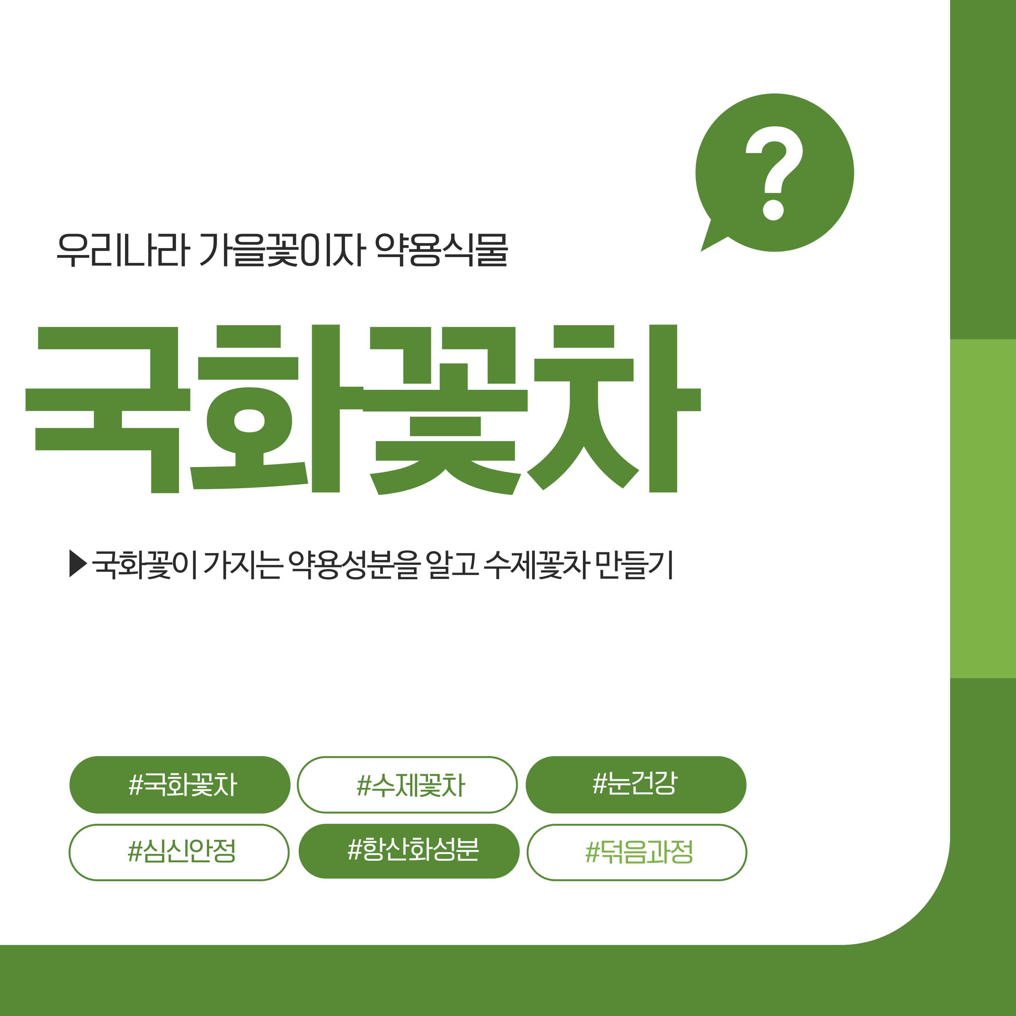 국화꽃차 만들기