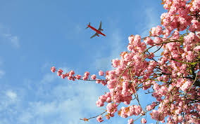 봄맞이 여행, 이제 슬슬 따뜻해지는데 어딜 가볼까요?