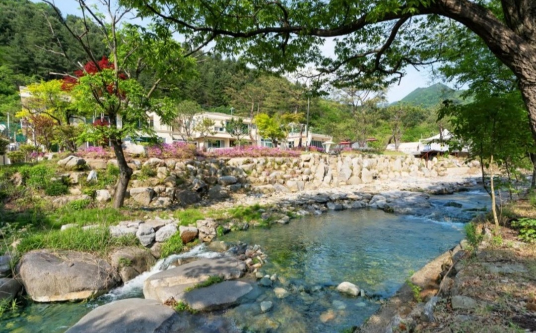 힐링풀빌라펜션 냇가
