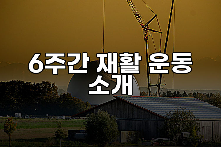 6주간 재활 운동 소개