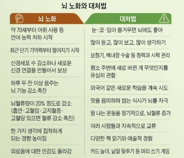 뇌노화 대처법