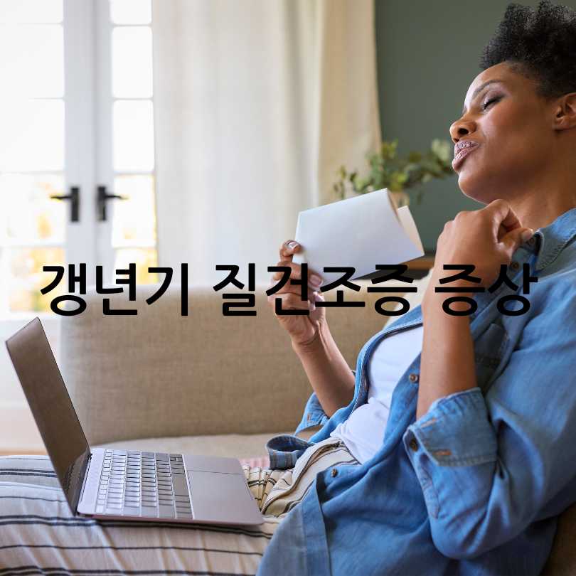 갱년기 여성의 질건조증