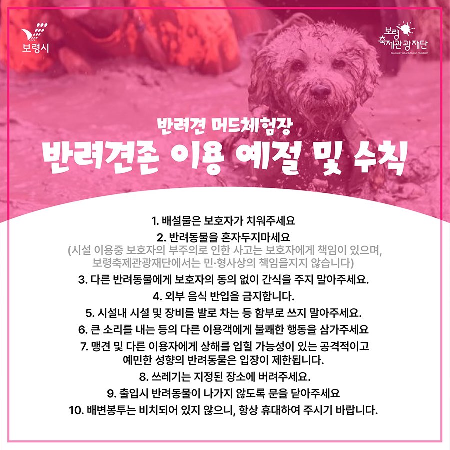 반려견 머드체험장