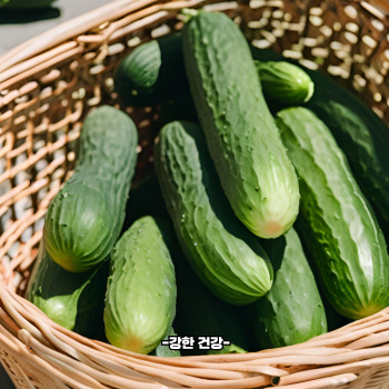 오이 효능
