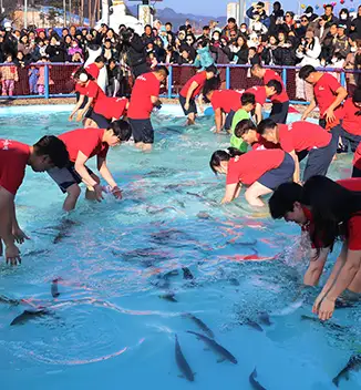출처 : 평창 송어축제 홈페이지 