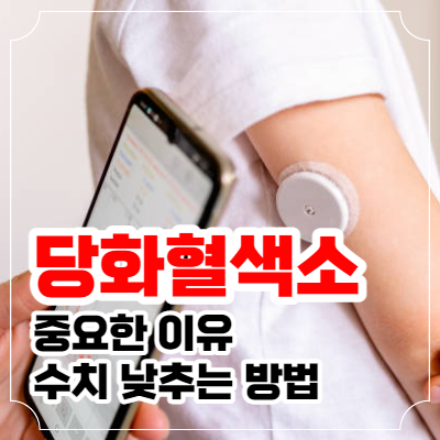당화혈색소란