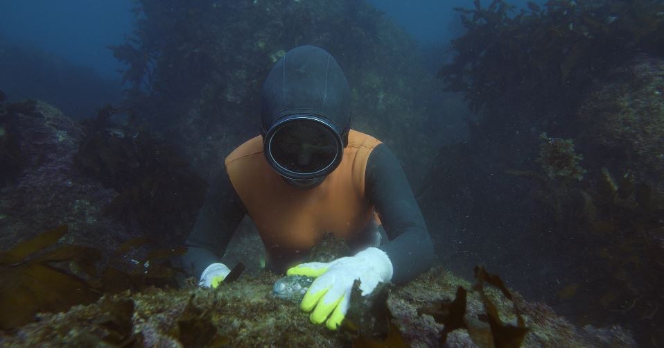 웰컴투삼달리_8회