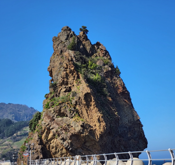 울릉도&amp;#44;독도여행