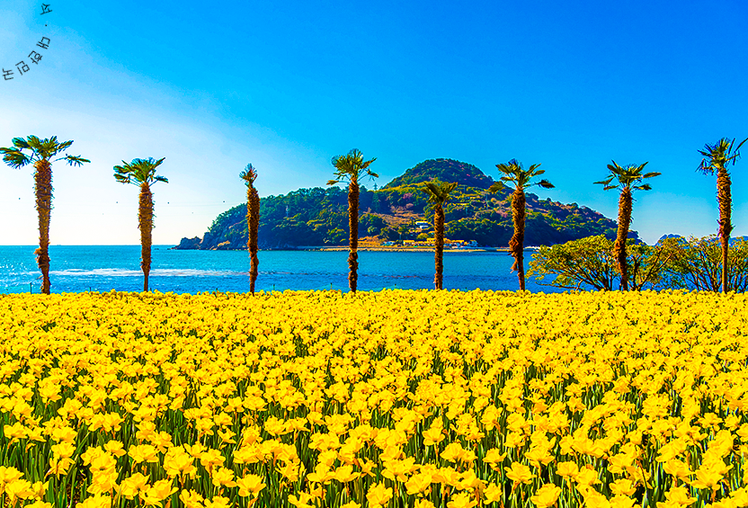 디지털 관광주민증 발급 방법 (+사용법 할인혜택)