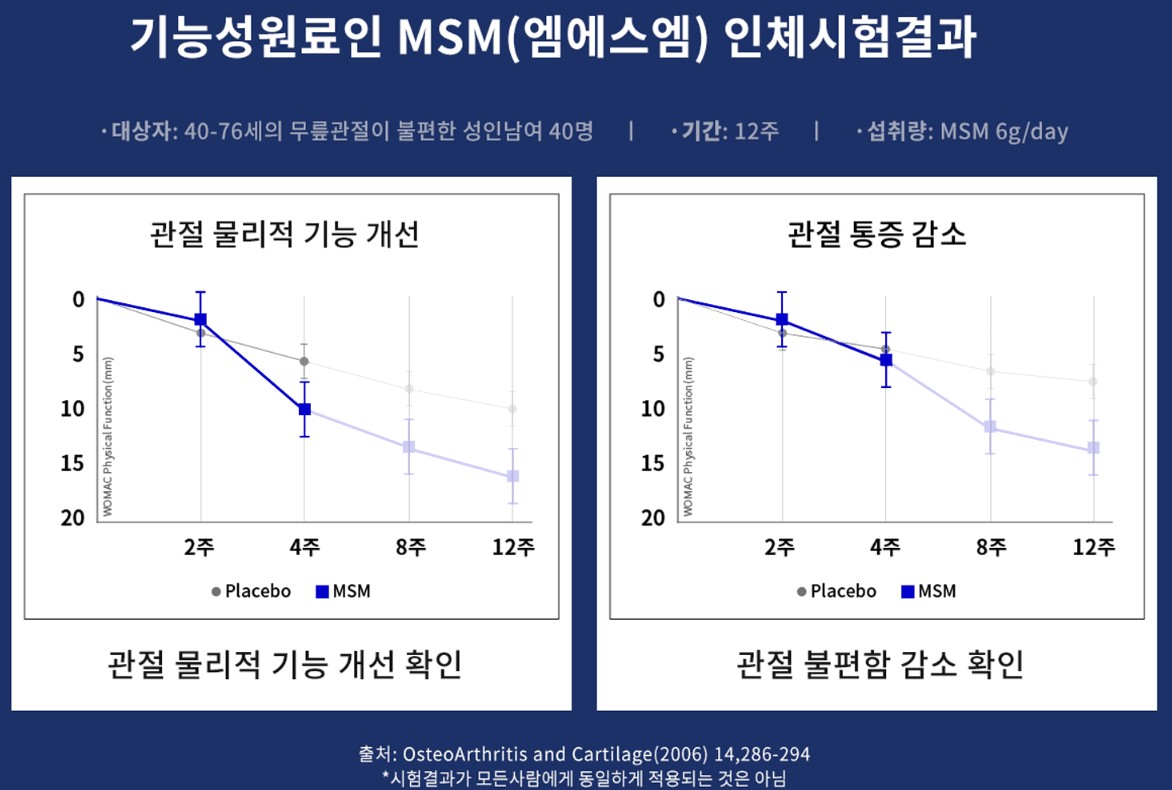 MSM인체시험결과그래프
