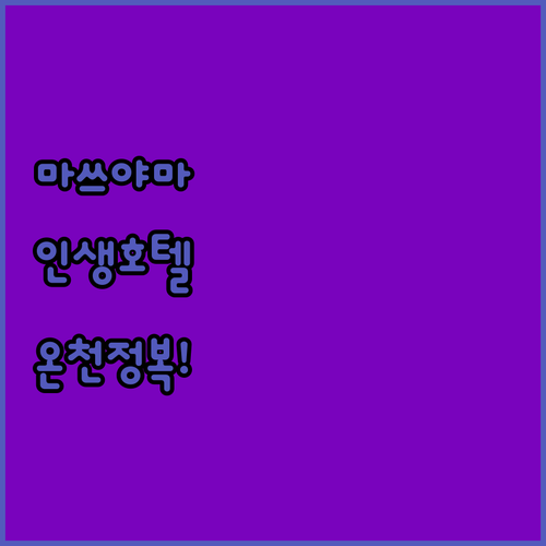 마쓰야마 자유여행 호텔 추천 위치 좋..