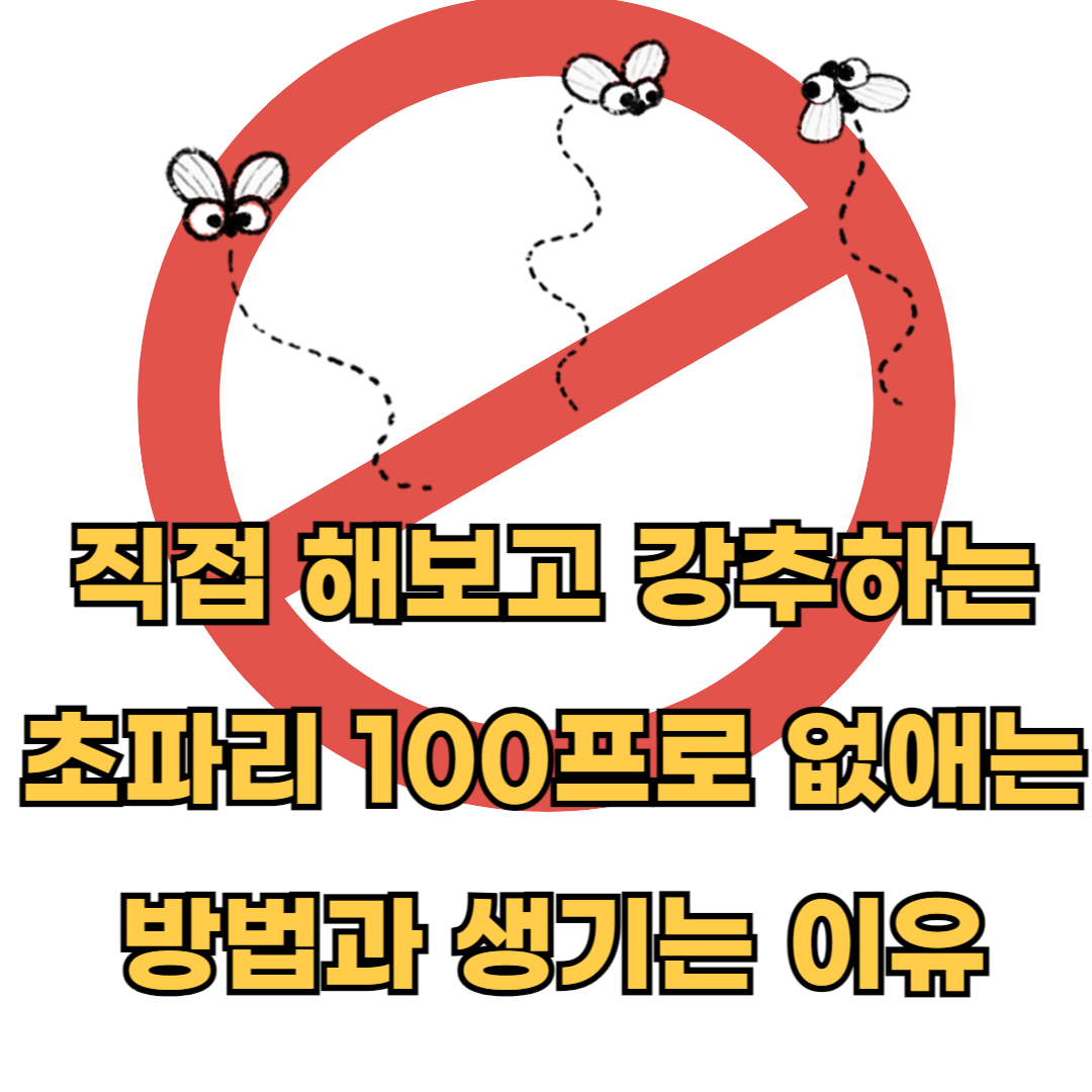 직접해보고강추하는초파리100프로없애는방법과생기는이유