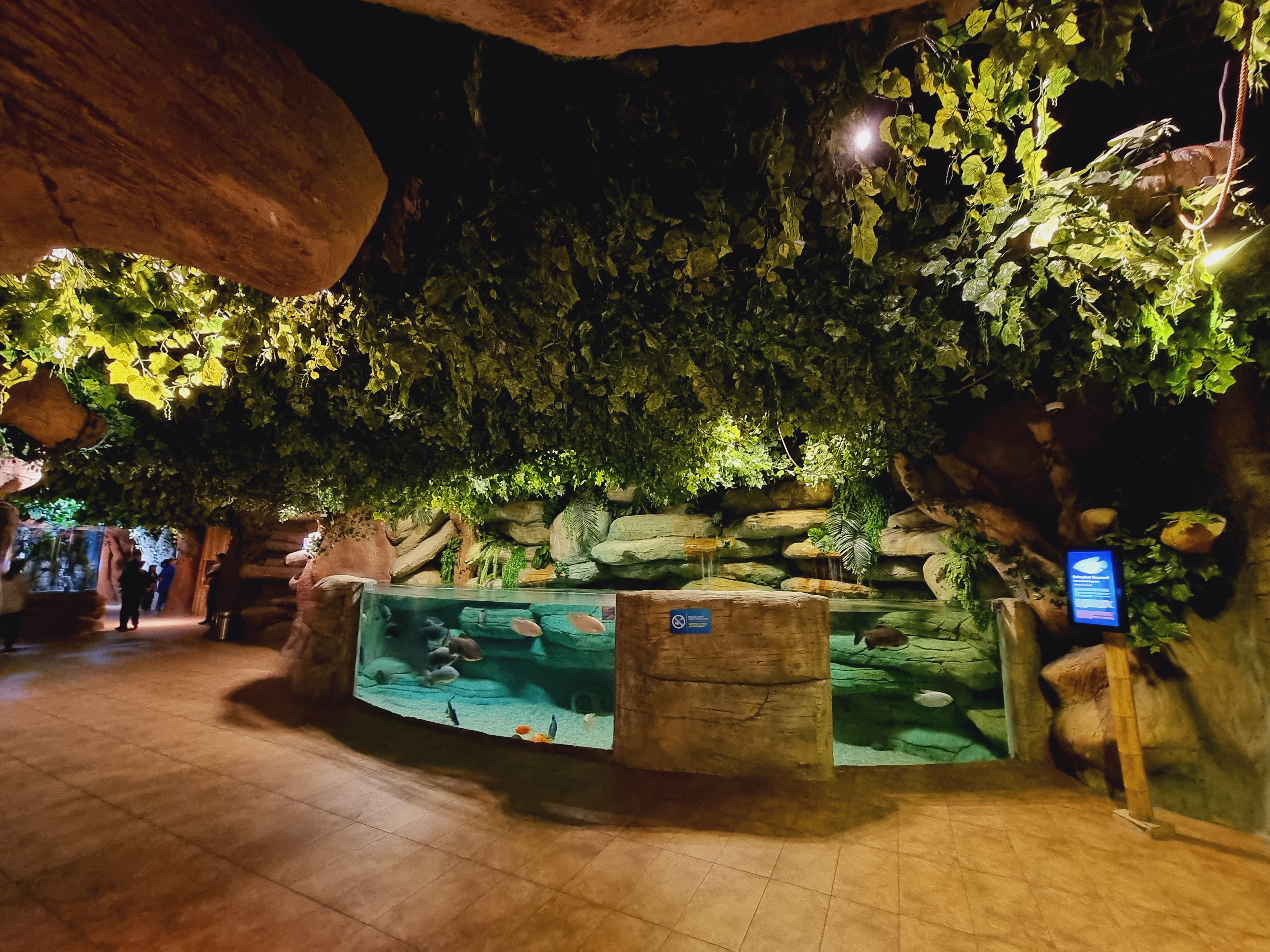 아쿠아리움 내부 수족관 모습