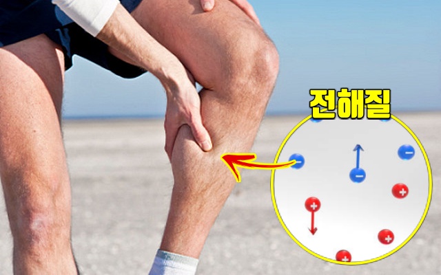다리에 쥐, 수분 부족 증상 현상, 건강 팁줌 매일꿀정보