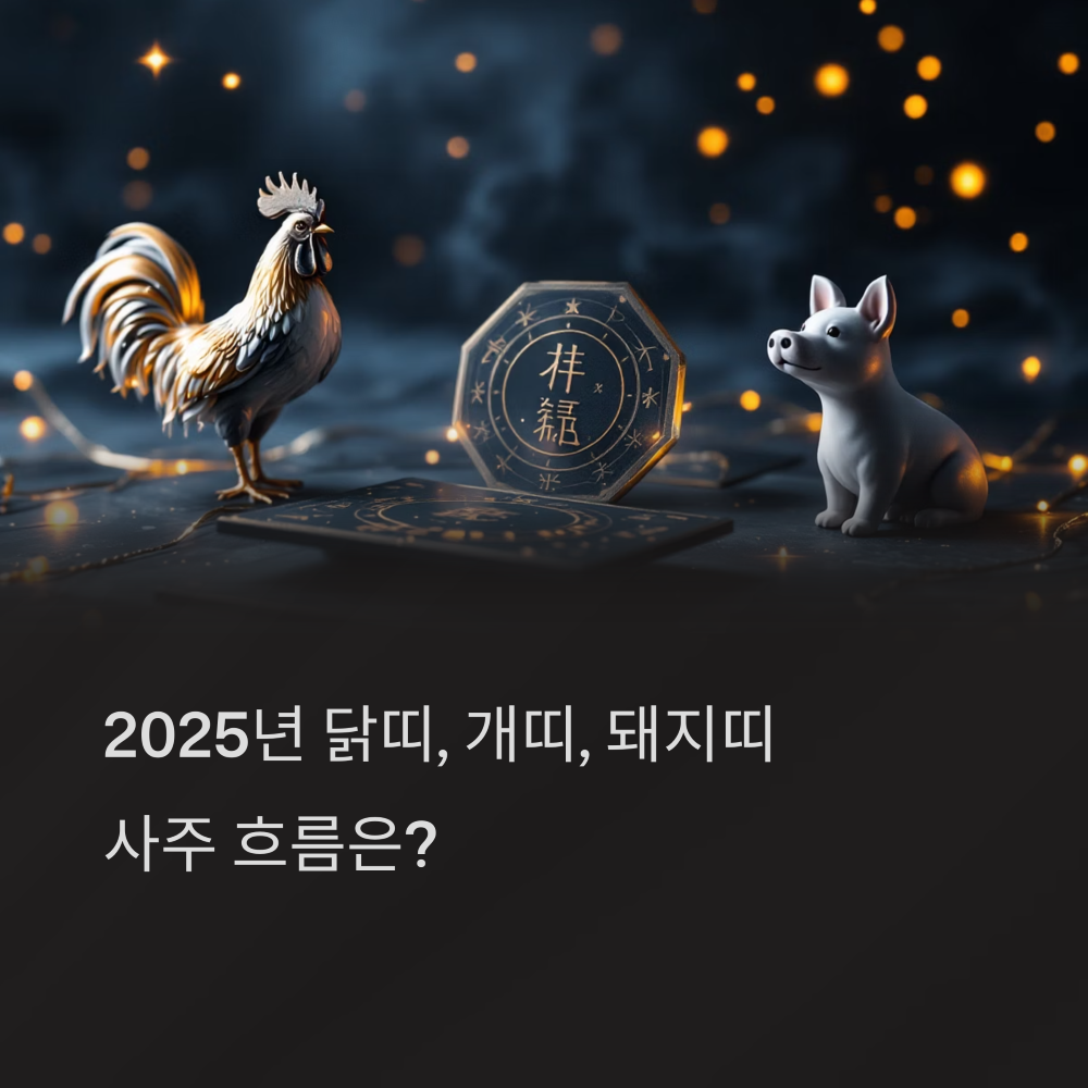 2025 닭띠, 개띠, 돼지띠 사주 총정리