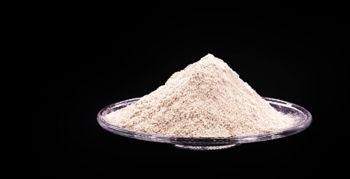 카제인-단백질