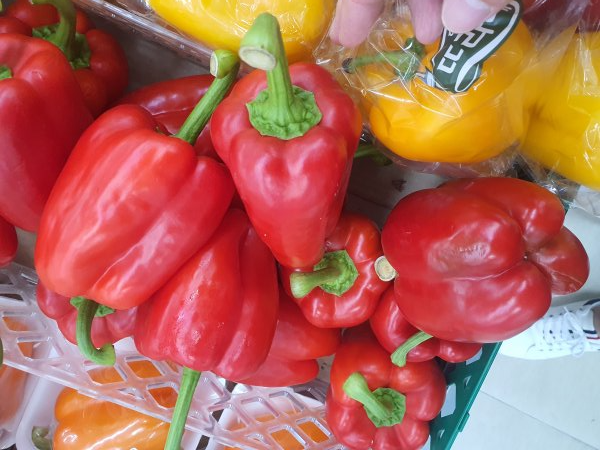 색색이 신선한 피망