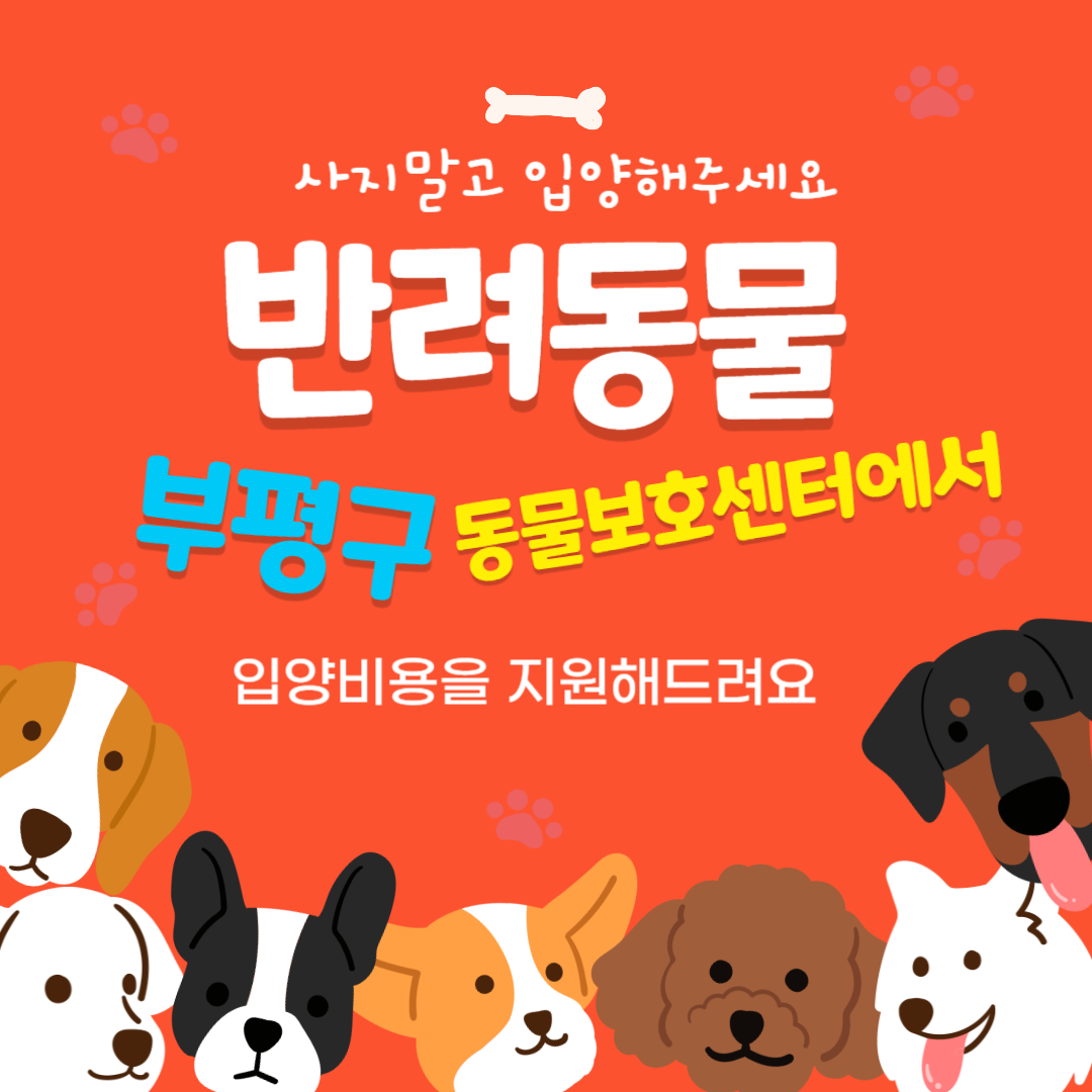 부평구동물보호센터