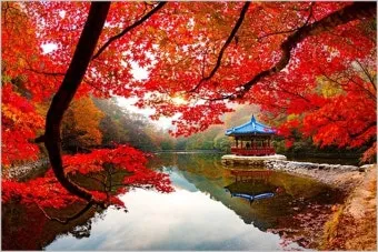 가을 단풍여행 베스트 명소 시니어 추천 코스 완벽 가이드_3