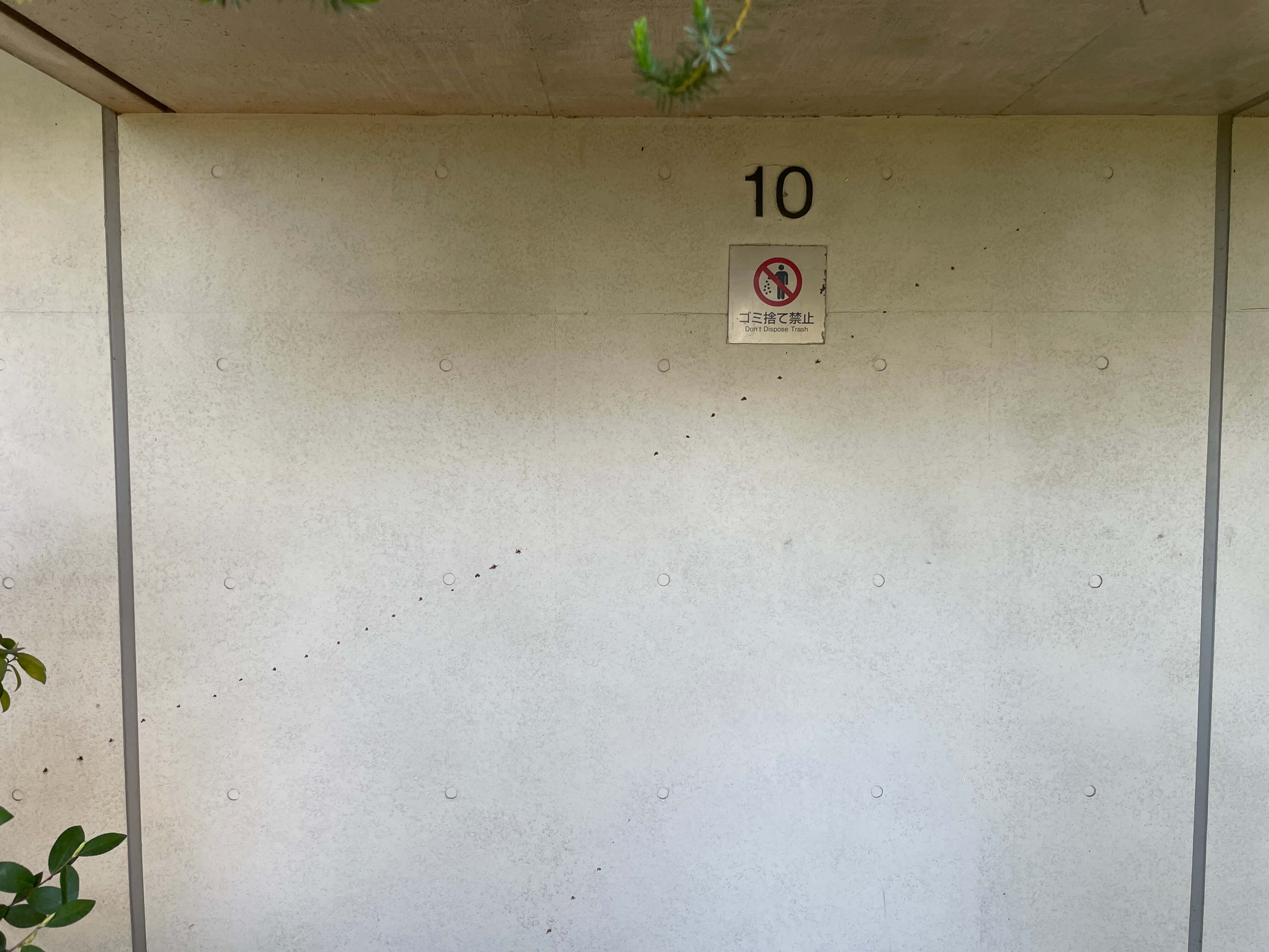 스텝가든-옥상전망대