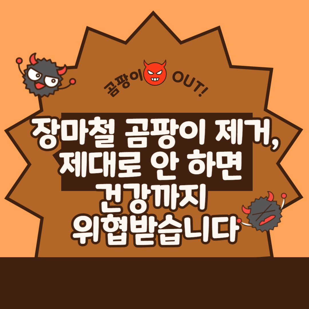장마철 곰팡이 제거, 제대로 안 하면 건강까지 위협받습니다