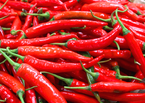 가늘고 긴 빨간 고추들이 엄청 많이 모여있다. 꼭지는 초록색이다.