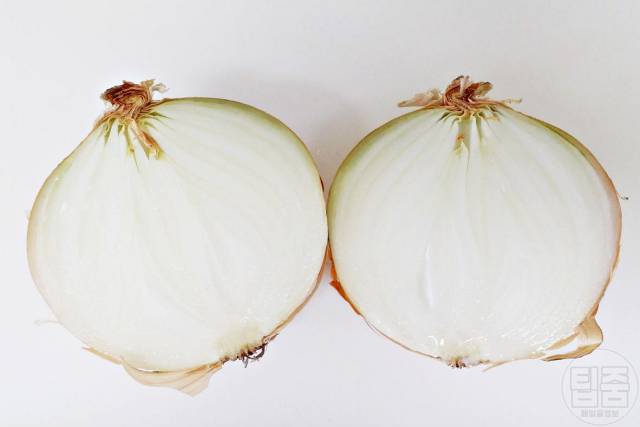 양파 썩은 부분 곰팡이 썩은양파 구별법