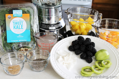 쿠빙스 블렌더, 키위 블루베리, 아마씨, 케일, 코코넛 워터 재료들 사진