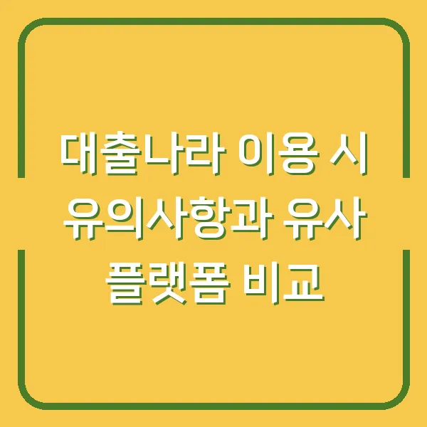 대출나라 이용 시 유의사항과 유사 플랫폼 비교