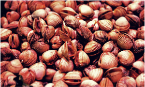 해산물 관련 사진