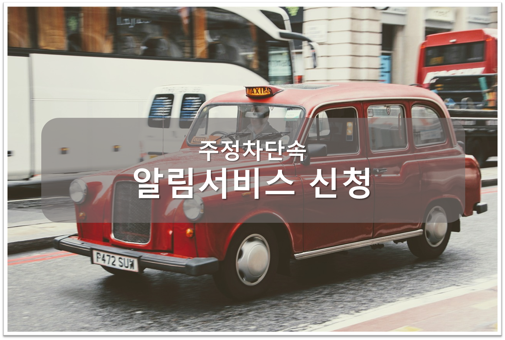 주정차단속 알림서비스 신청