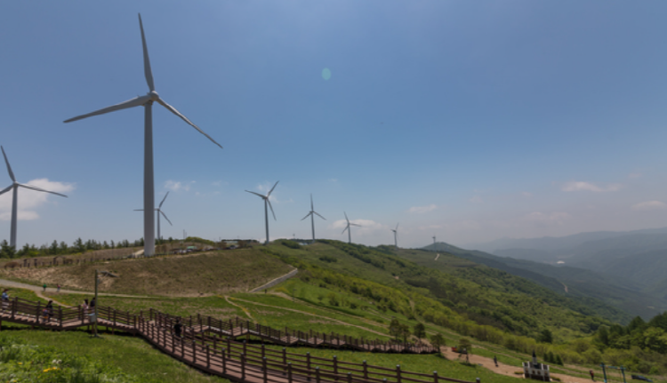 평창 육백마지기