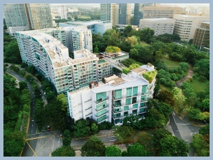 고층 빌딩 단지와 나무 숲