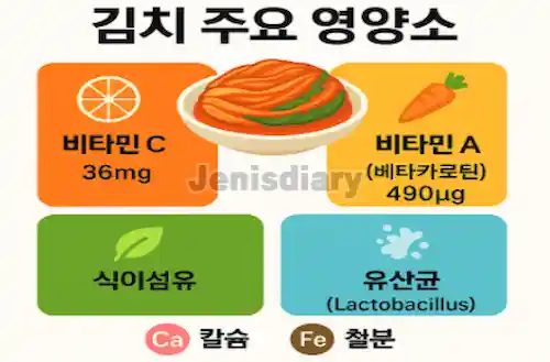 김치 주요 영양소 이미지